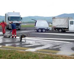 LETALISCE CERKLJE 21.4.2012 (17).jpg