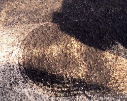 24.3.2012 AERODROM MARIBOR 050 (52).jpg