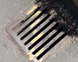 Falch Photos-115.jpg