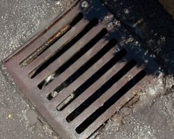 Falch Photos-116.jpg